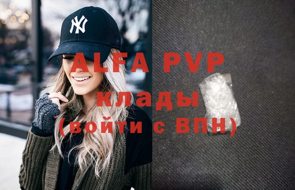 стафф Алзамай