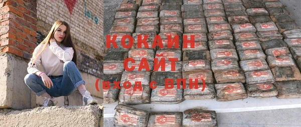 стафф Алзамай