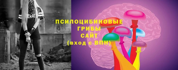 стафф Алзамай