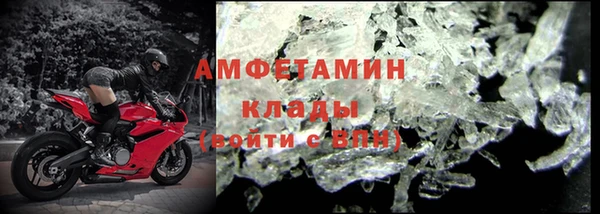 стафф Алзамай