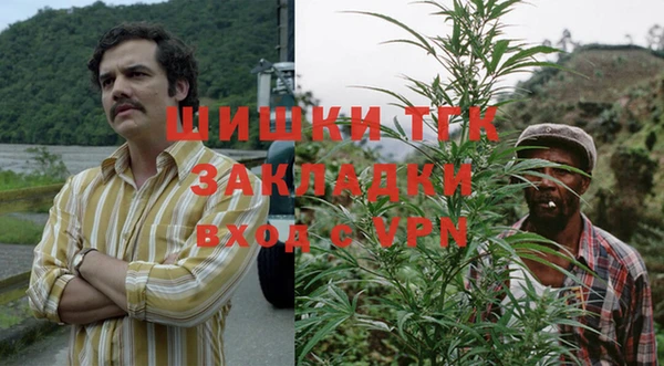 стафф Алзамай